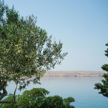 شقة Barić Draga المظهر الخارجي الصورة