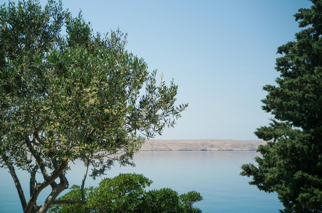 شقة Barić Draga المظهر الخارجي الصورة
